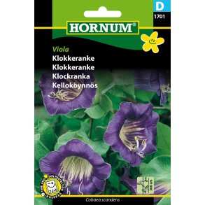 Hornum Klokkeranke, Viola