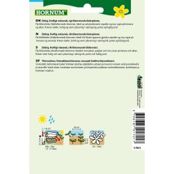 Hornum Klokkeranke, Viola