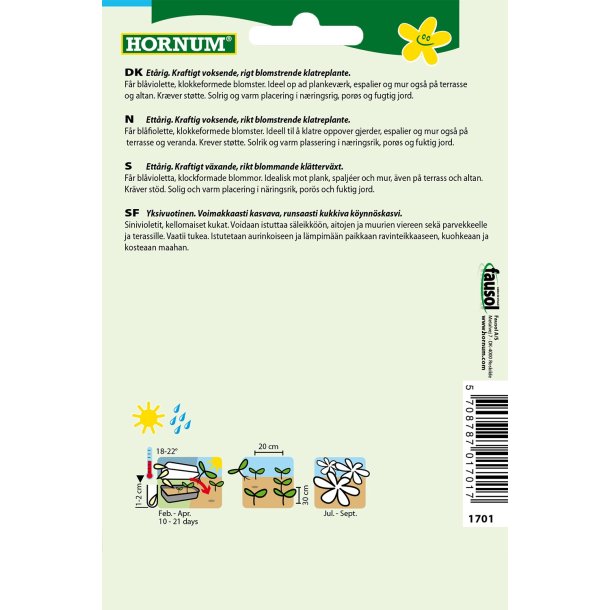 Hornum Klokkeranke, Viola