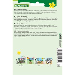 Hornum Kniplingsblomst, Blue Umbrella