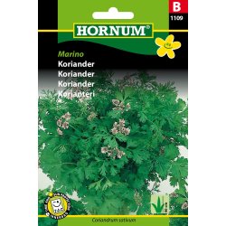 Hornum Koriander, Marino