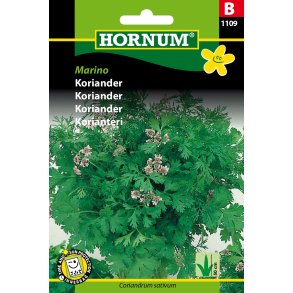 Hornum Koriander, Marino