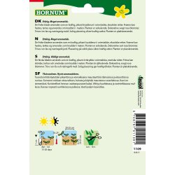 Hornum Koriander, Marino