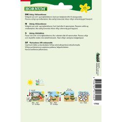 Hornum Kornblomst, Blue Heaven