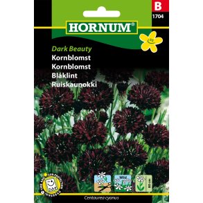 Hornum Kornblomst, Dark Beauty