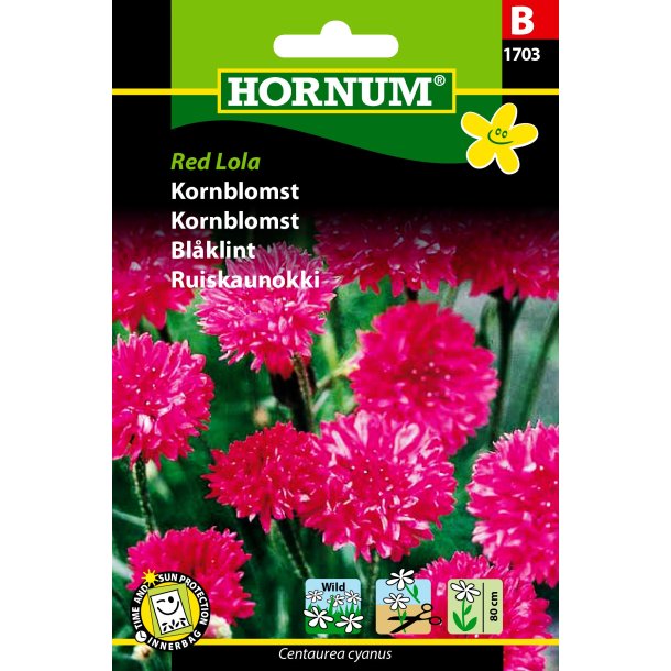 Hornum Kornblomst, Red Lola
