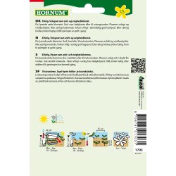 Hornum Kornblomst, Red Lola