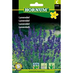 Hornum Lavendel, bl