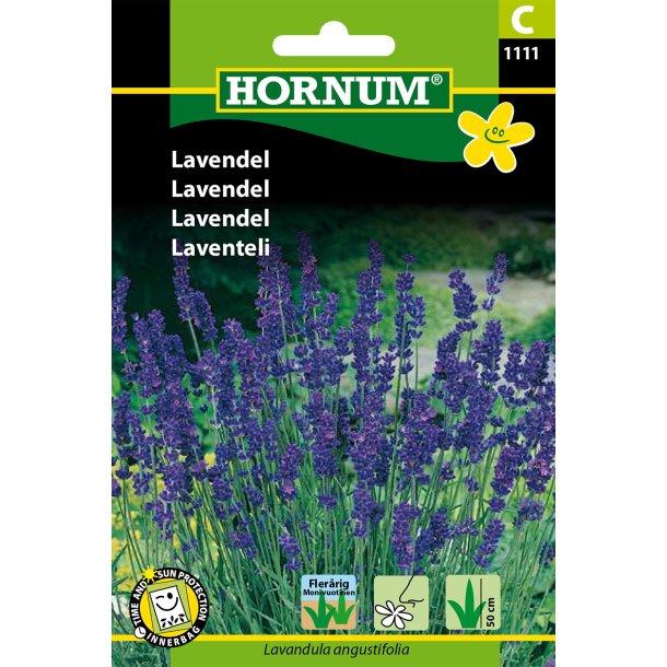 Hornum Lavendel, bl