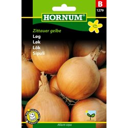 Hornum Lg, Giant Zittau