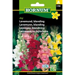 Hornum Lvemund, blanding, Joy