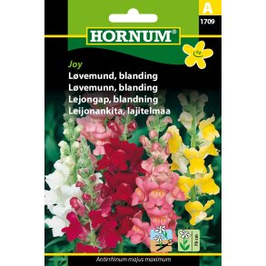 Hornum Lvemund, blanding, Joy