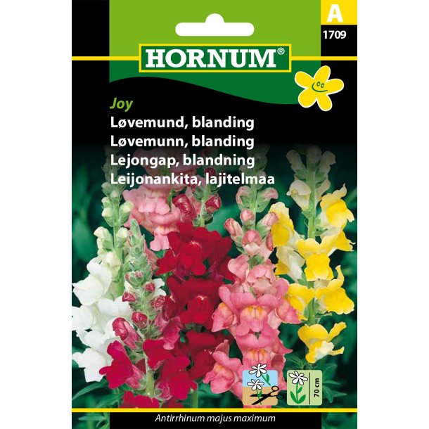 Hornum Lvemund, blanding, Joy