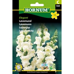 Hornum Lvemund, Elegant