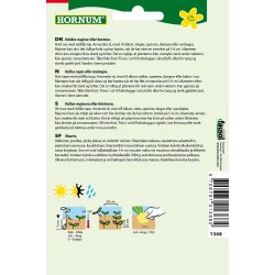 Hornum Majroe, Ronde Witte Roodkop