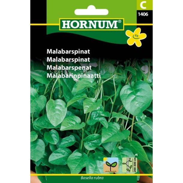 Hornum Malabarspinat