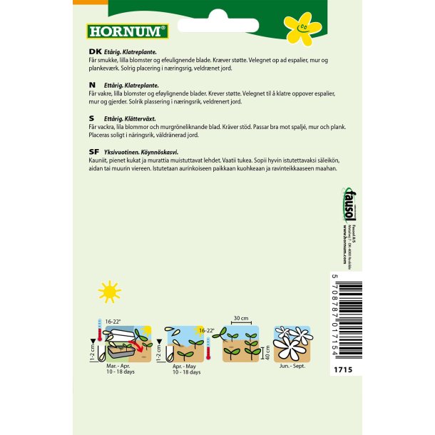 Hornum Maurandya, Klatre-, Bocca