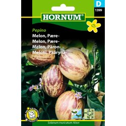 Hornum Melon, Pre-, Pepino