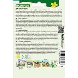 Hornum Melon, Pre-, Pepino