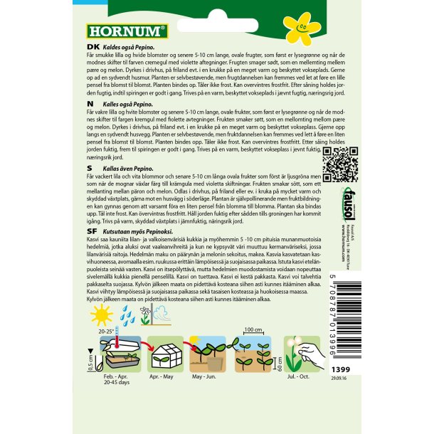 Hornum Melon, Pre-, Pepino