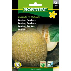 Hornum Melon, Sukker-, Masada F1 Hybride