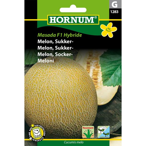 Hornum Melon, Sukker-, Masada F1 Hybride