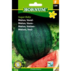 Hornum Melon, Vand-, Sugar Baby