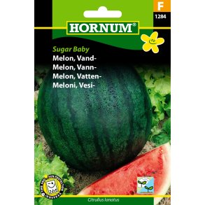 Hornum Melon, Vand-, Sugar Baby
