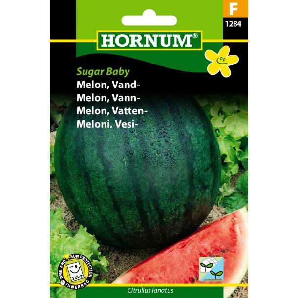 Hornum Melon, Vand-, Sugar Baby
