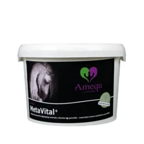 Amequ MetaVital+, 5kg. 