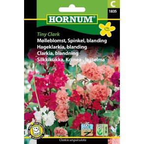 Hornum Mlleblomst, Spinkel, bl, Tiny Clark