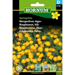 Hornum Morgenfrue, Ager-, Springtime