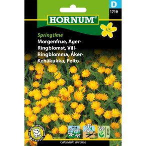 Hornum Morgenfrue, Ager-, Springtime