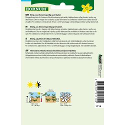 Hornum Morgenfrue, Ager-, Springtime