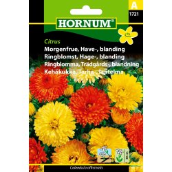 Hornum Morgenfrue, Have-, blanding, Citrus