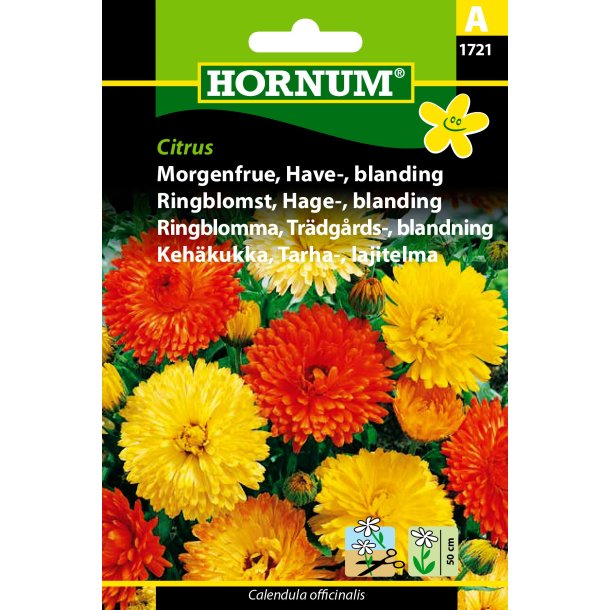 Hornum Morgenfrue, Have-, blanding, Citrus