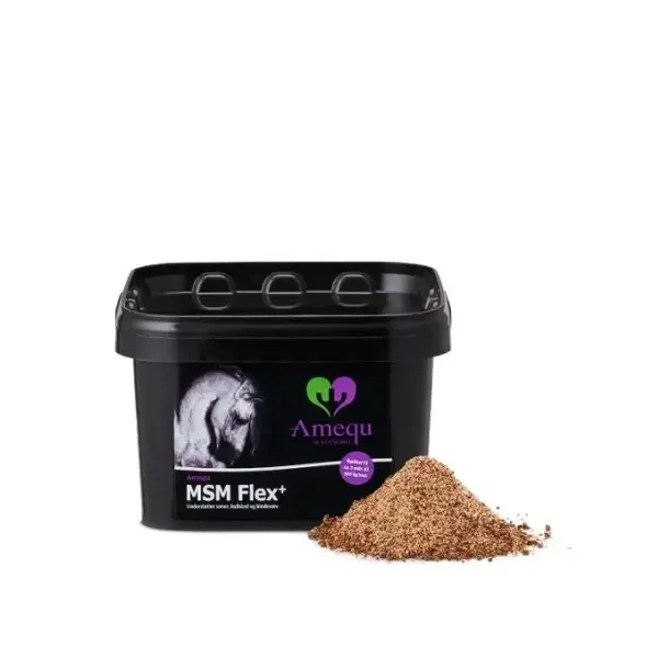 Amequ MSM Flex+, 2kg. 
