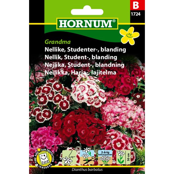 Hornum Nellike, Studenter-, bl., Grandma