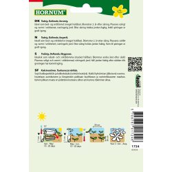 Hornum Nellike, Studenter-, bl., Grandma