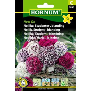 Hornum Nellike, Studenter-, bl., Hats On