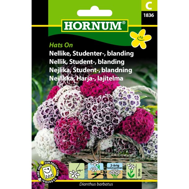 Hornum Nellike, Studenter-, bl., Hats On