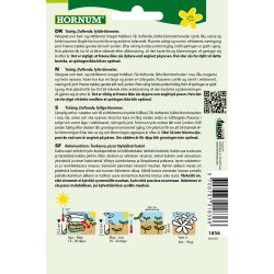 Hornum Nellike, Studenter-, bl., Hats On