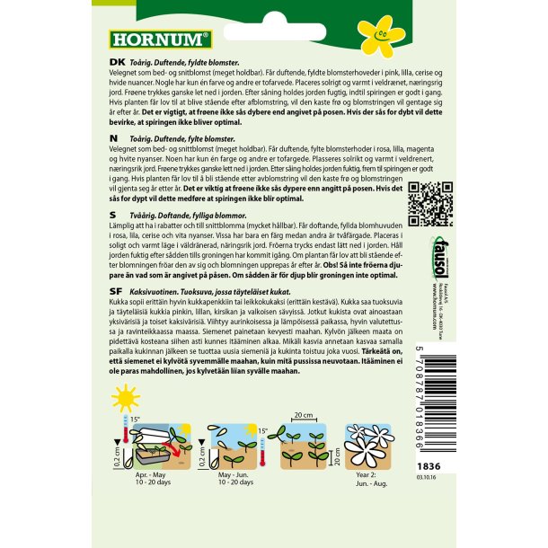 Hornum Nellike, Studenter-, bl., Hats On