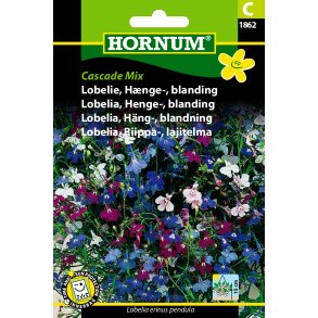 Hornum Lobelie, Hnge-, bland., Cascade Mix