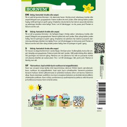 Hornum Lobelie, Hnge-, bland., Cascade Mix