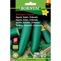 Hornum kologisk Agurk, Salat-, Frilands - Sonja