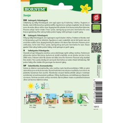 Hornum kologisk Agurk, Salat-, Frilands - Sonja