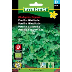 Hornum kologisk Persille, Glatbladet - Gigante dItalia
