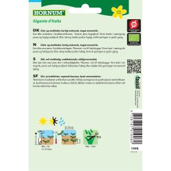 Hornum kologisk Persille, Glatbladet - Gigante dItalia