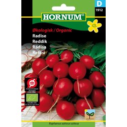 Hornum - kologisk Radise - Cherry Belle